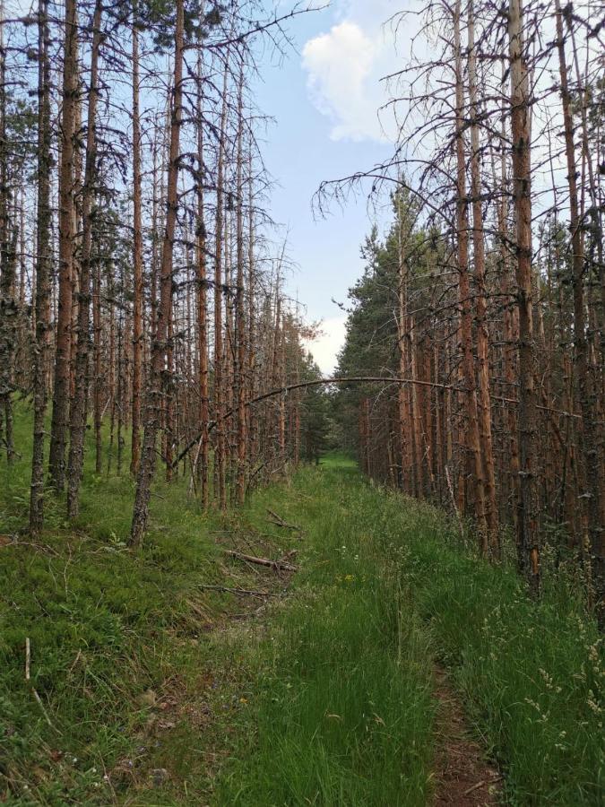 Carobni Breg Hotel Mokra Gora Eksteriør billede